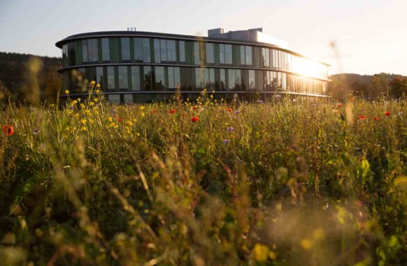 Neues Laborgebäude der WALA, von Wiesen umgeben, Biodiversitätspfad